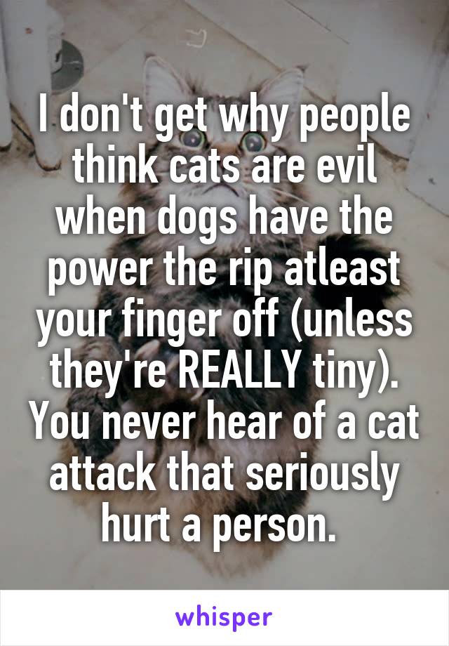 I don't get why people think cats are evil when dogs have the power the rip atleast your finger off (unless they're REALLY tiny). You never hear of a cat attack that seriously hurt a person. 