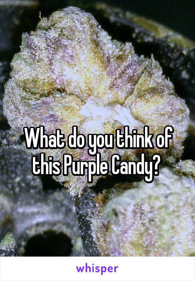 
What do you think of this Purple Candy? 