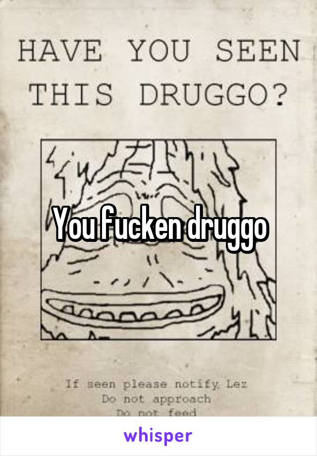 You fucken druggo