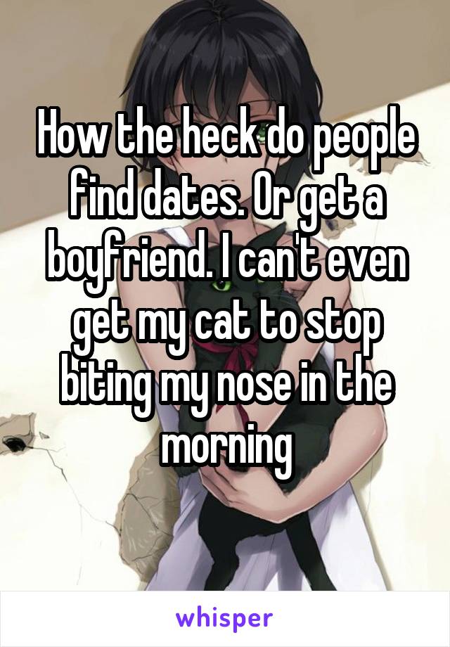 How the heck do people find dates. Or get a boyfriend. I can't even get my cat to stop biting my nose in the morning
