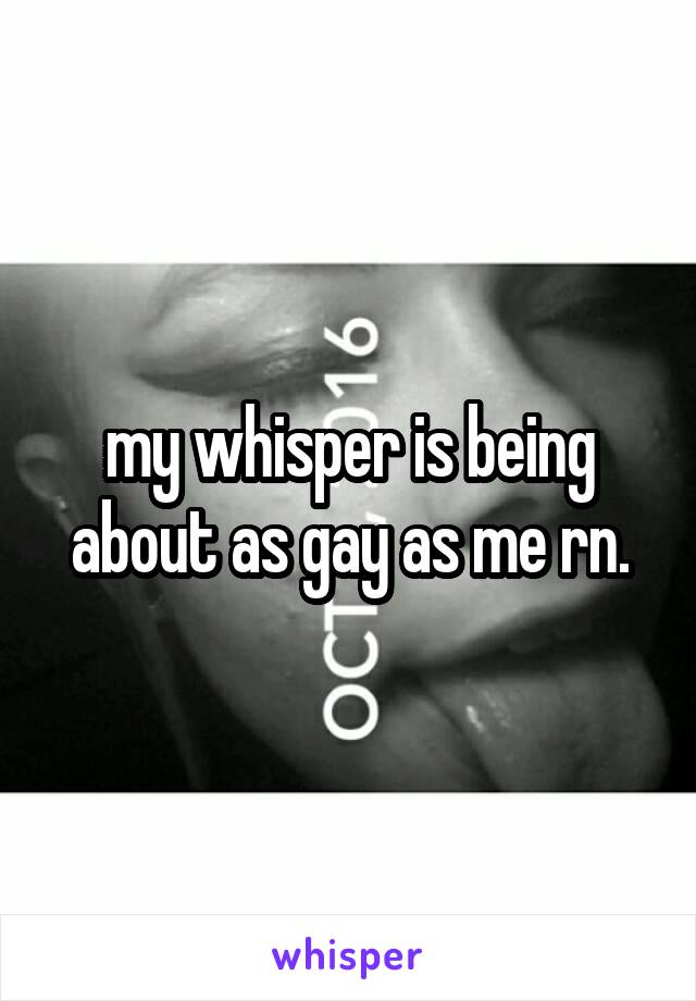 my whisper is being about as gay as me rn.