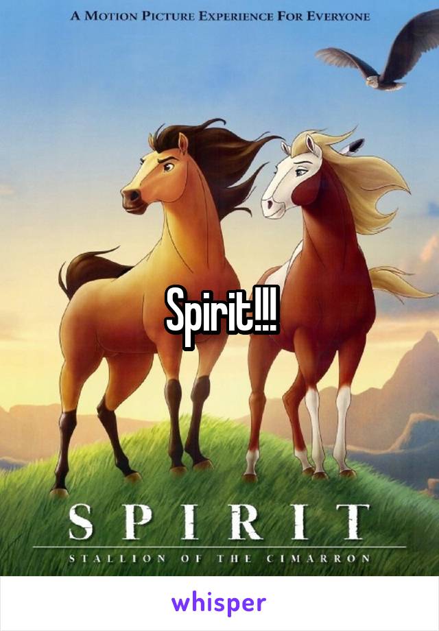 Spirit!!!