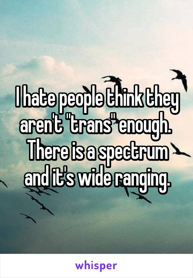 I hate people think they aren't "trans" enough.  There is a spectrum and it's wide ranging.