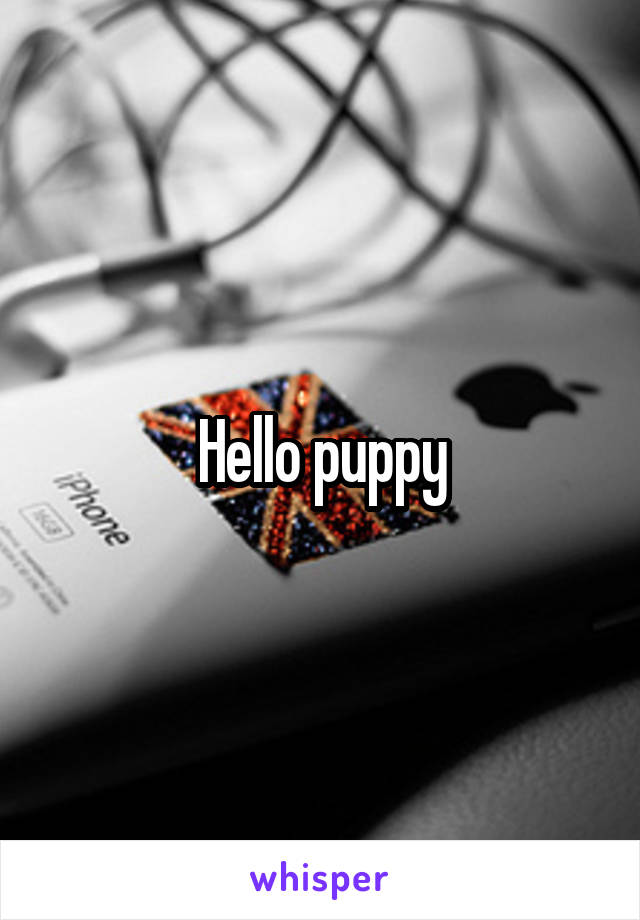Hello puppy