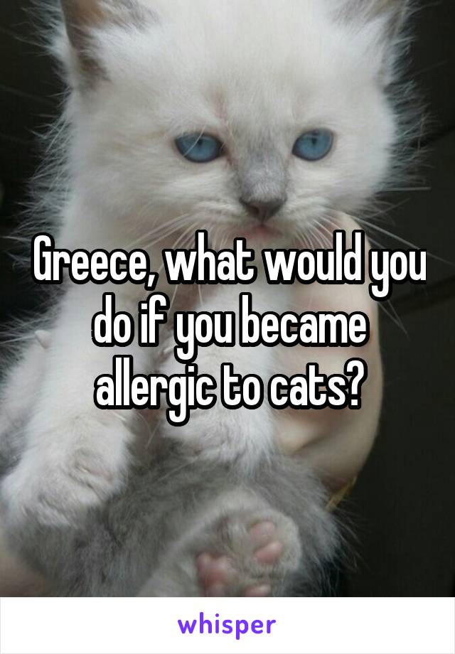 Greece, what would you do if you became allergic to cats?