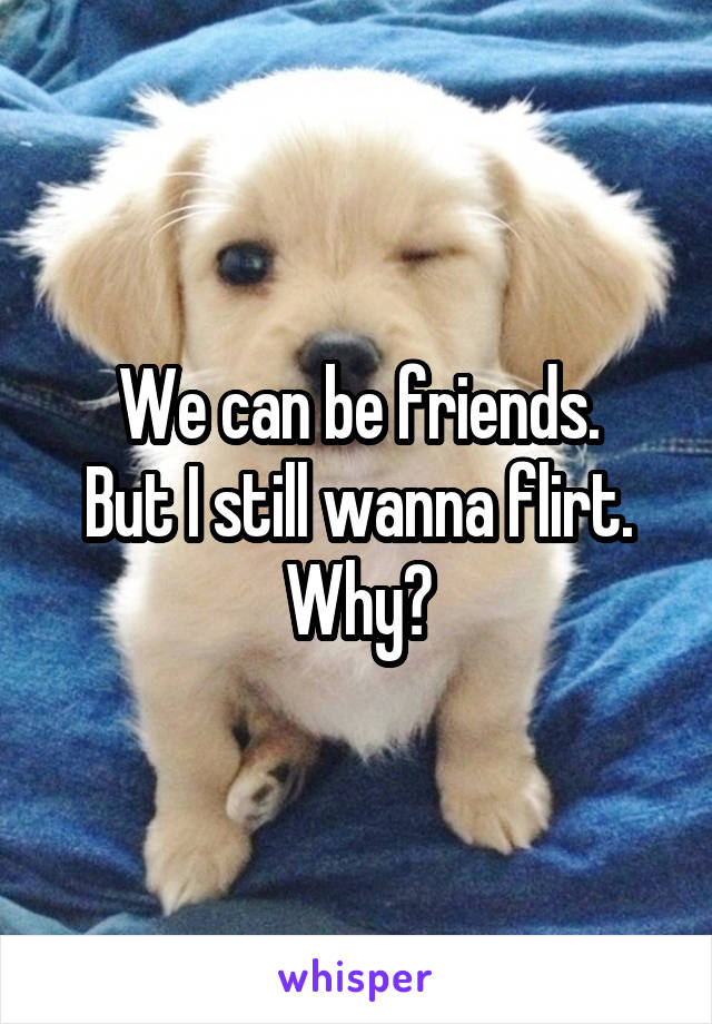 We can be friends.
But I still wanna flirt.
Why?