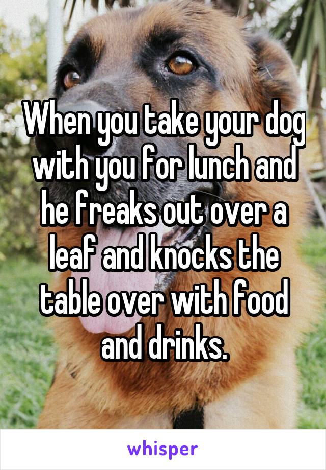 When you take your dog with you for lunch and he freaks out over a leaf and knocks the table over with food and drinks.