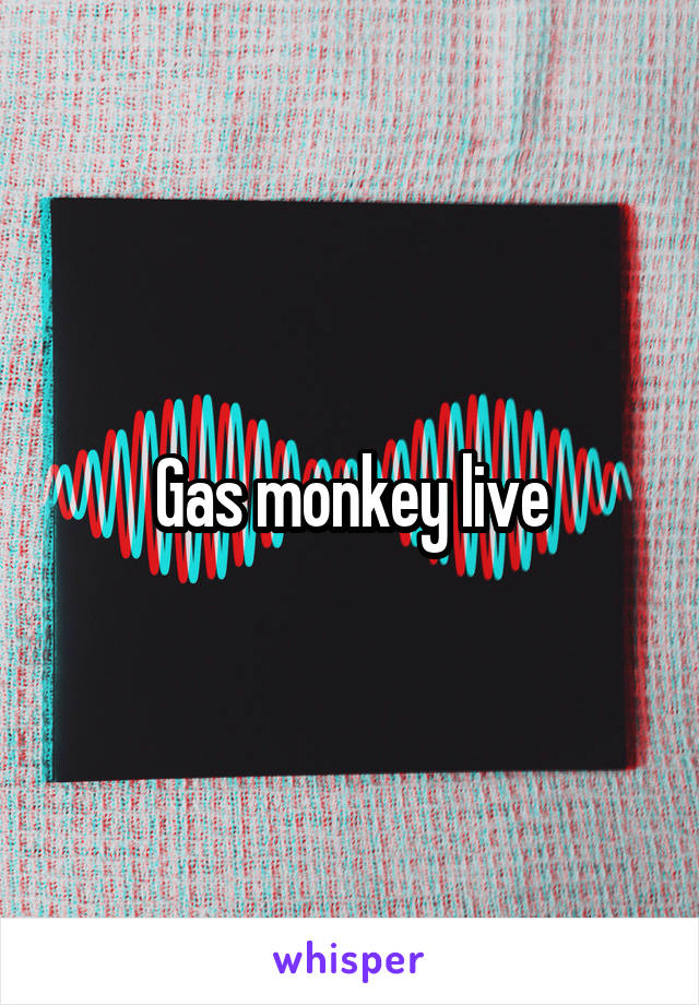 Gas monkey live