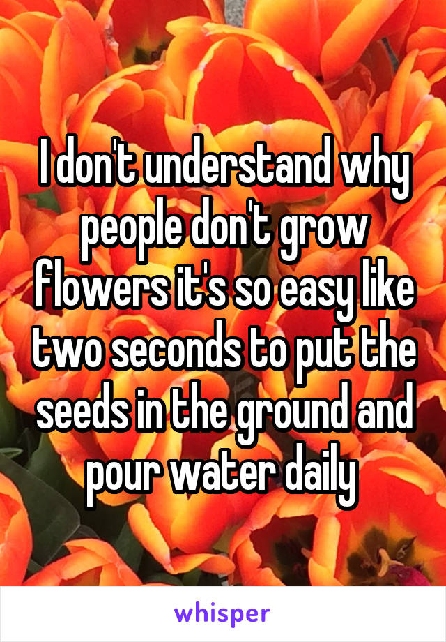 I don't understand why people don't grow flowers it's so easy like two seconds to put the seeds in the ground and pour water daily 