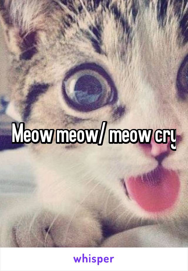 Meow meow/ meow cry