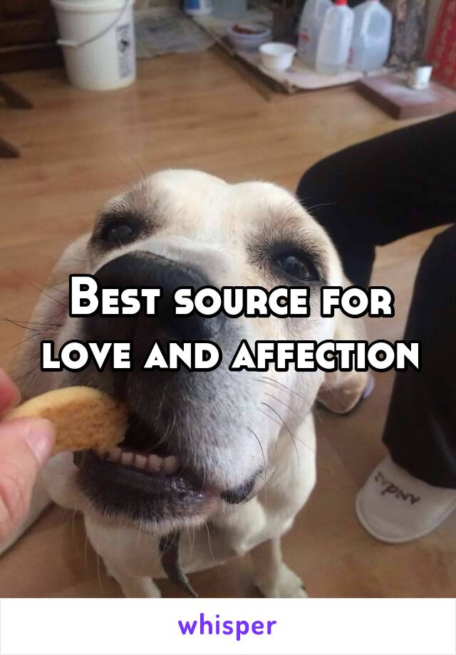 Best source for love and affection