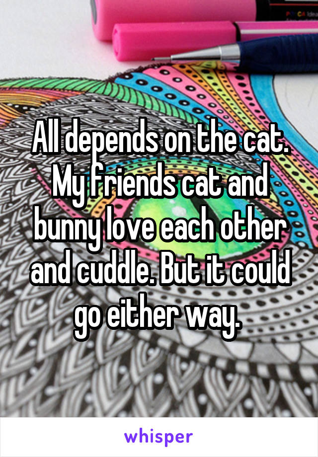 All depends on the cat. My friends cat and bunny love each other and cuddle. But it could go either way. 