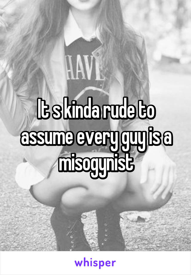 It s kinda rude to assume every guy is a misogynist