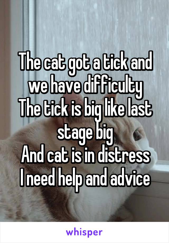 The cat got a tick and we have difficulty
The tick is big like last stage big
And cat is in distress
I need help and advice