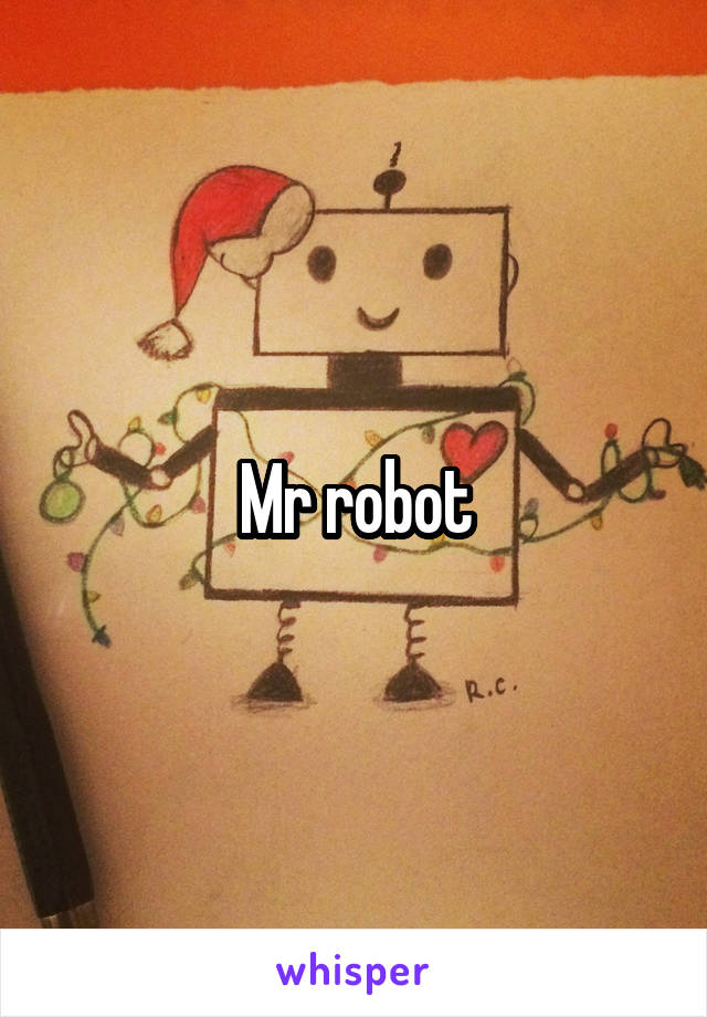 Mr robot