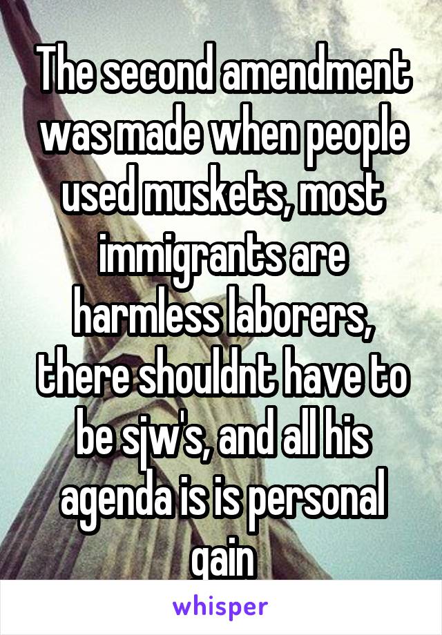 The second amendment was made when people used muskets, most immigrants are harmless laborers, there shouldnt have to be sjw's, and all his agenda is is personal gain