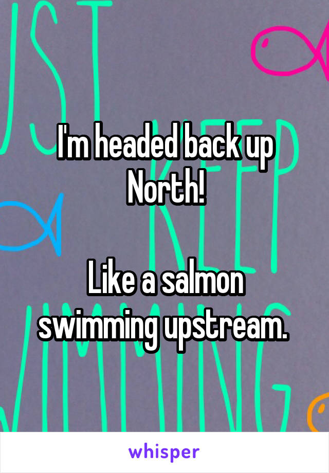 I'm headed back up North!

Like a salmon swimming upstream. 