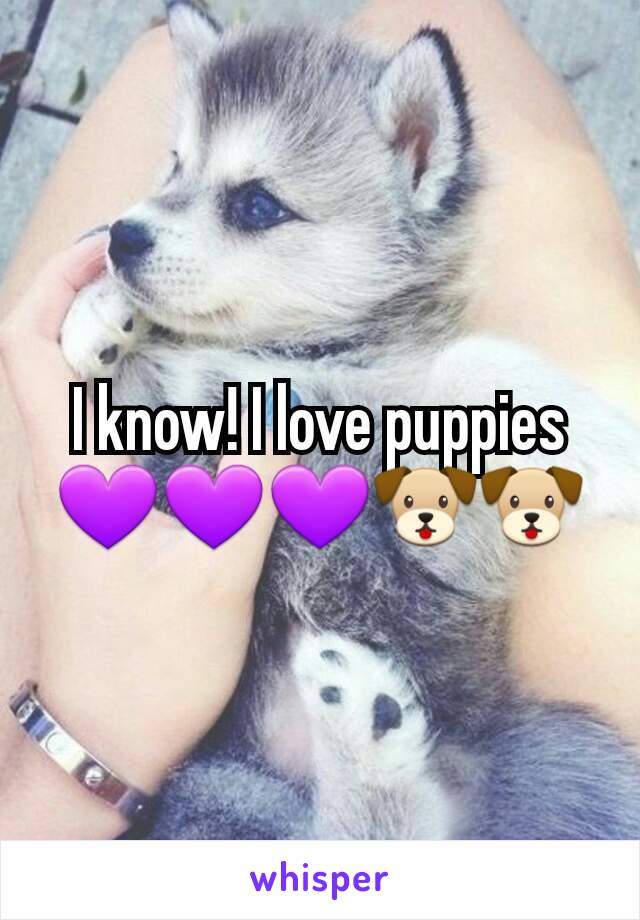 I know! I love puppies 💜💜💜🐶🐶