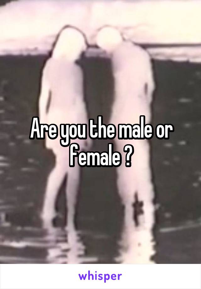 Are you the male or female ?