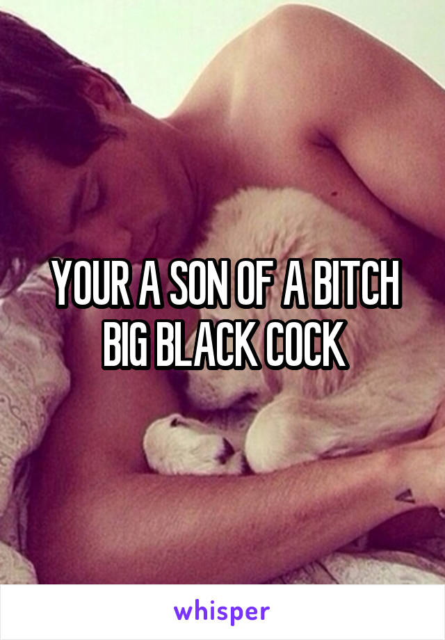 YOUR A SON OF A BITCH BIG BLACK COCK