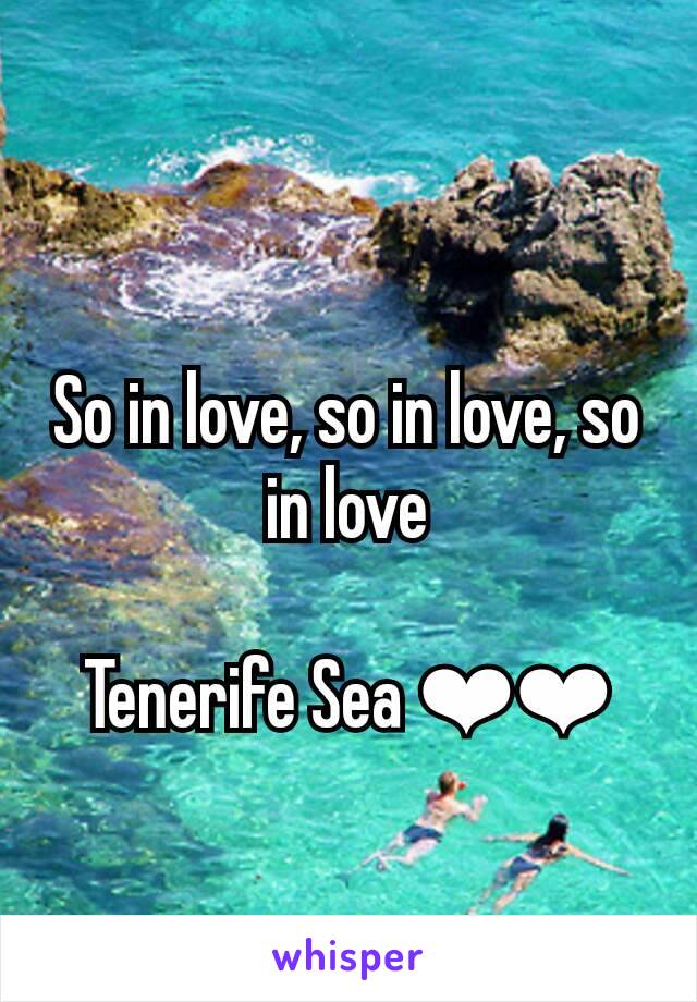 
So in love, so in love, so in love

Tenerife Sea ❤❤