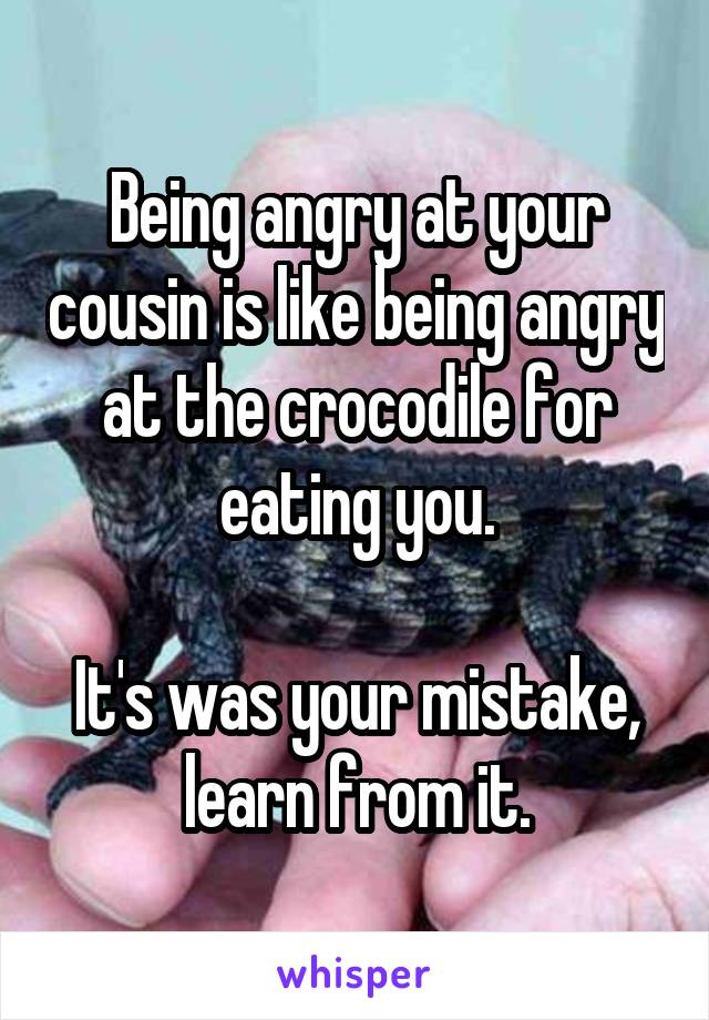 Being angry at your cousin is like being angry at the crocodile for eating you.

It's was your mistake, learn from it.