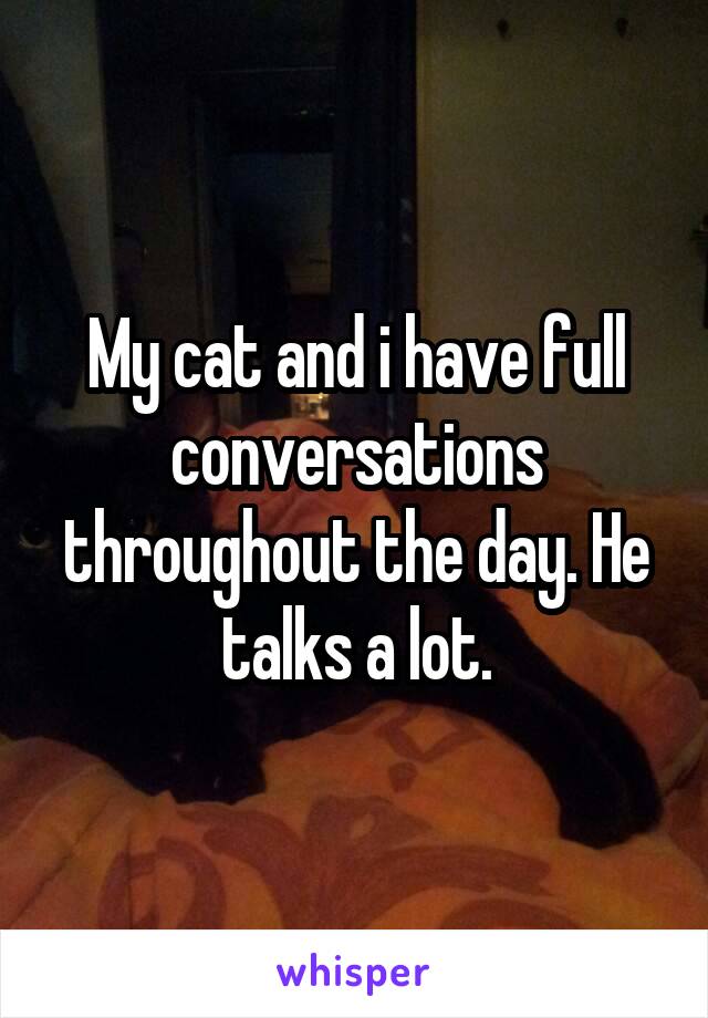 My cat and i have full conversations throughout the day. He talks a lot.