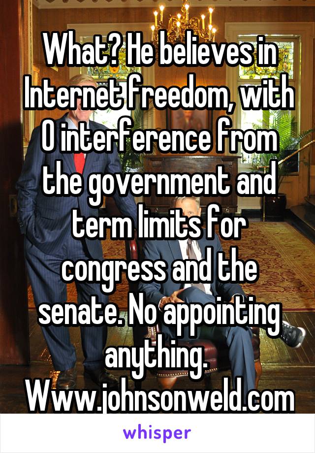 What? He believes in Internet freedom, with 0 interference from the government and term limits for congress and the senate. No appointing anything. 
Www.johnsonweld.com