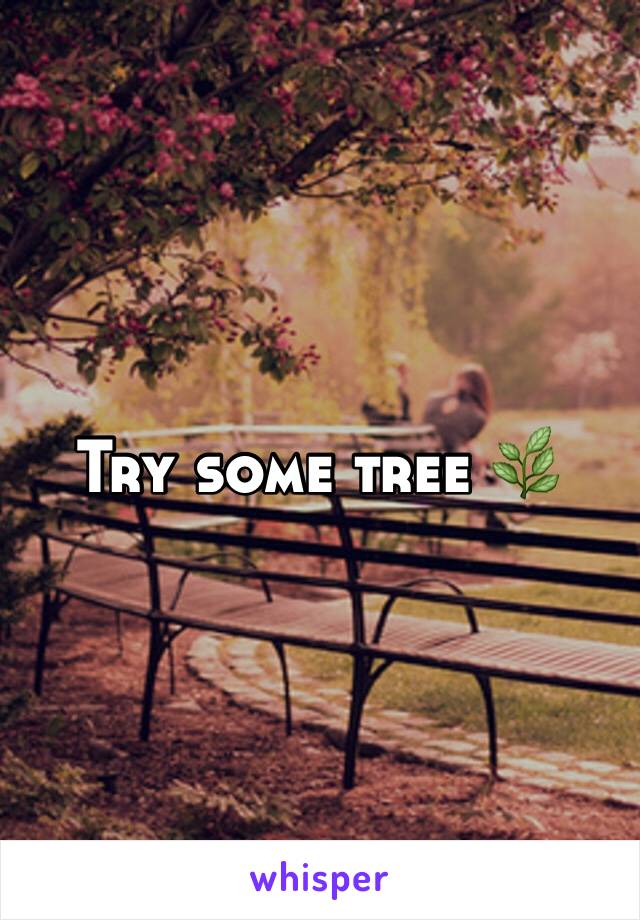 Try some tree 🌿