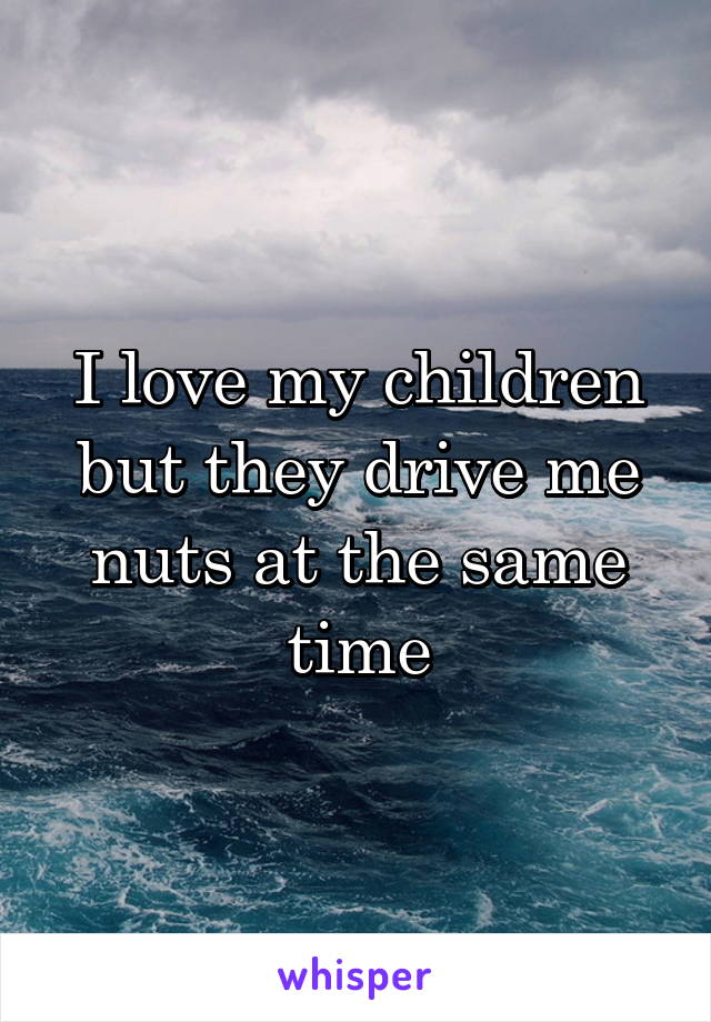 I love my children but they drive me nuts at the same time