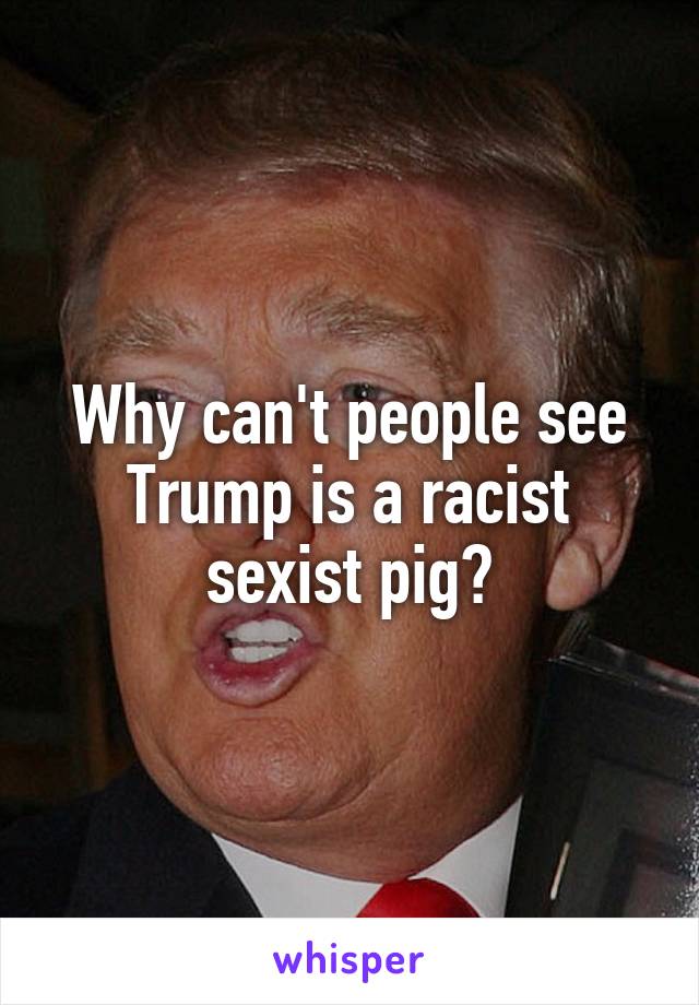 Why can't people see Trump is a racist sexist pig?
