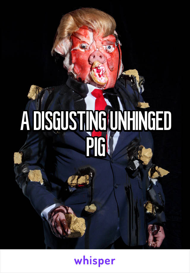 A DISGUSTING UNHINGED PIG