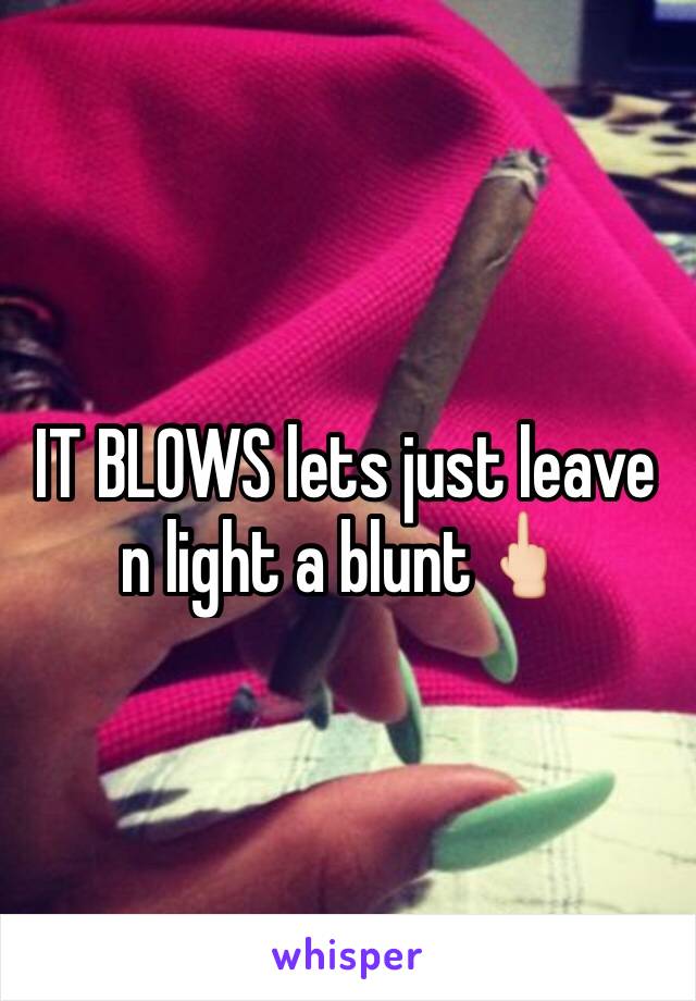 IT BLOWS lets just leave n light a blunt🖕🏻