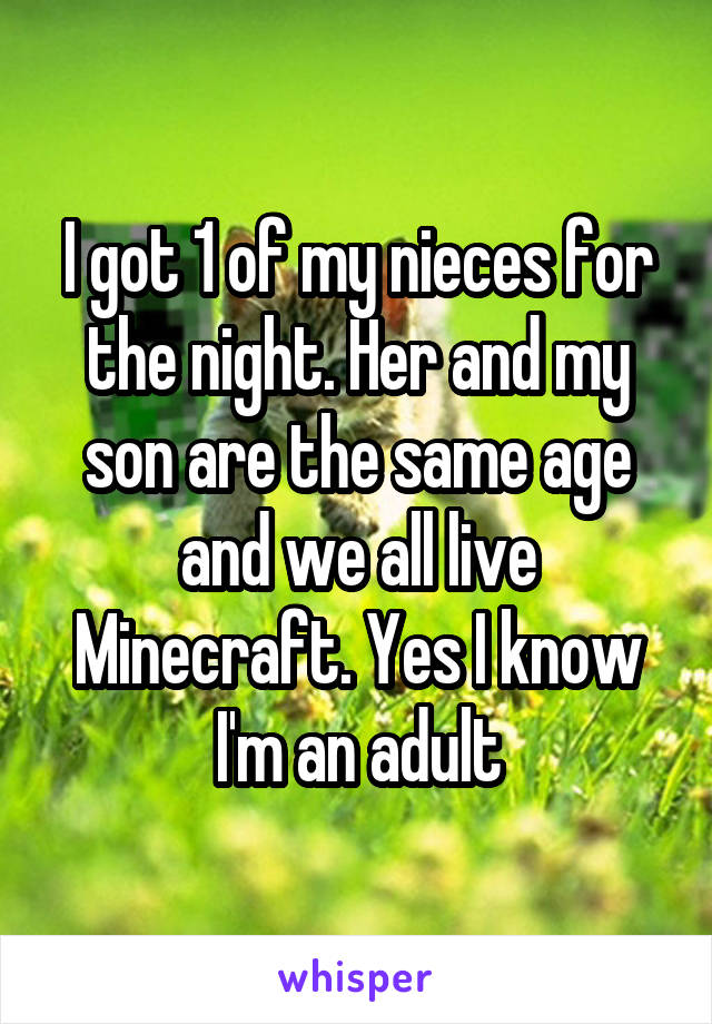 I got 1 of my nieces for the night. Her and my son are the same age and we all live Minecraft. Yes I know I'm an adult
