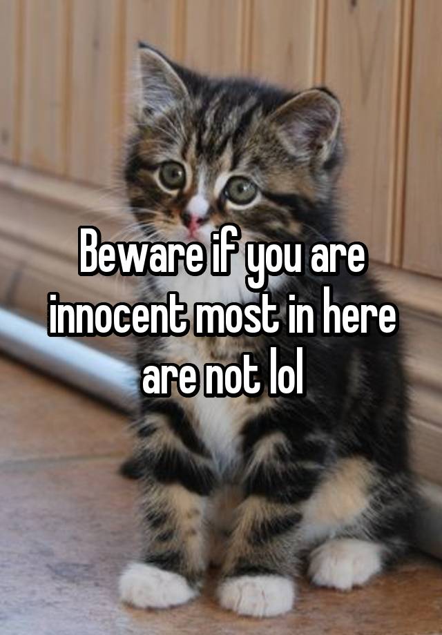 beware-if-you-are-innocent-most-in-here-are-not-lol