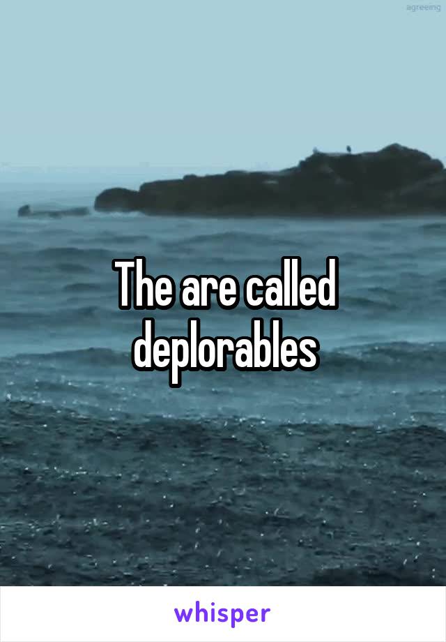 The are called deplorables