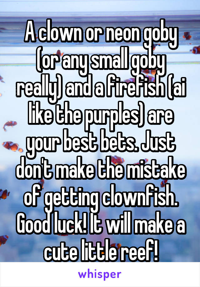 A clown or neon goby (or any small goby really) and a firefish (ai like the purples) are your best bets. Just don't make the mistake of getting clownfish. Good luck! It will make a cute little reef!