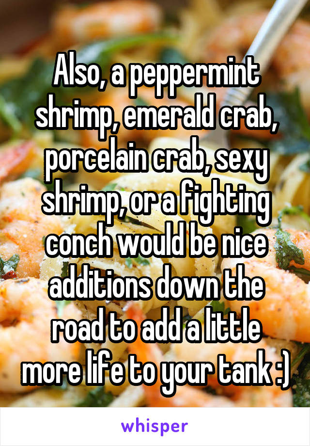Also, a peppermint shrimp, emerald crab, porcelain crab, sexy shrimp, or a fighting conch would be nice additions down the road to add a little more life to your tank :)