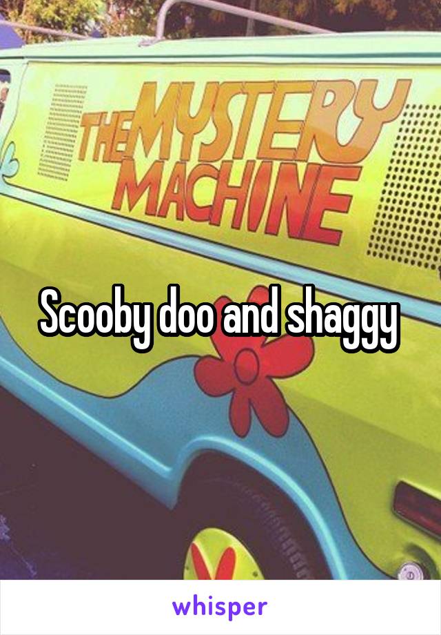 Scooby doo and shaggy 