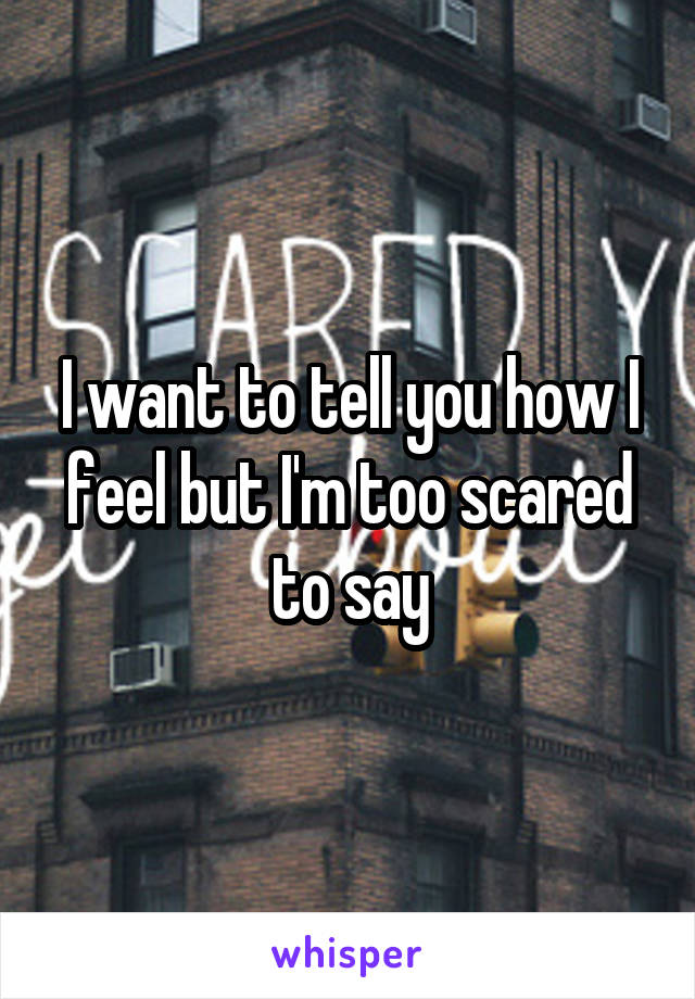 I want to tell you how I feel but I'm too scared to say