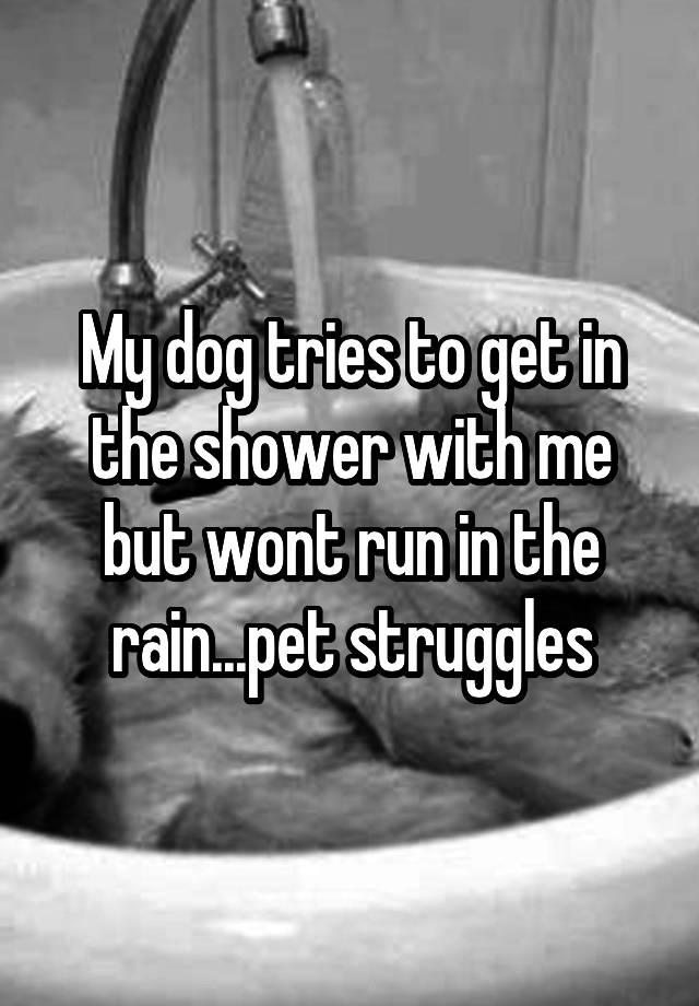 my-dog-tries-to-get-in-the-shower-with-me-but-wont-run-in-the-rain