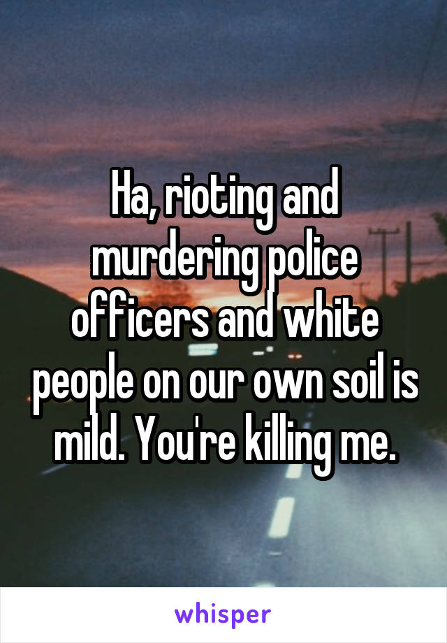 Ha, rioting and murdering police officers and white people on our own soil is mild. You're killing me.