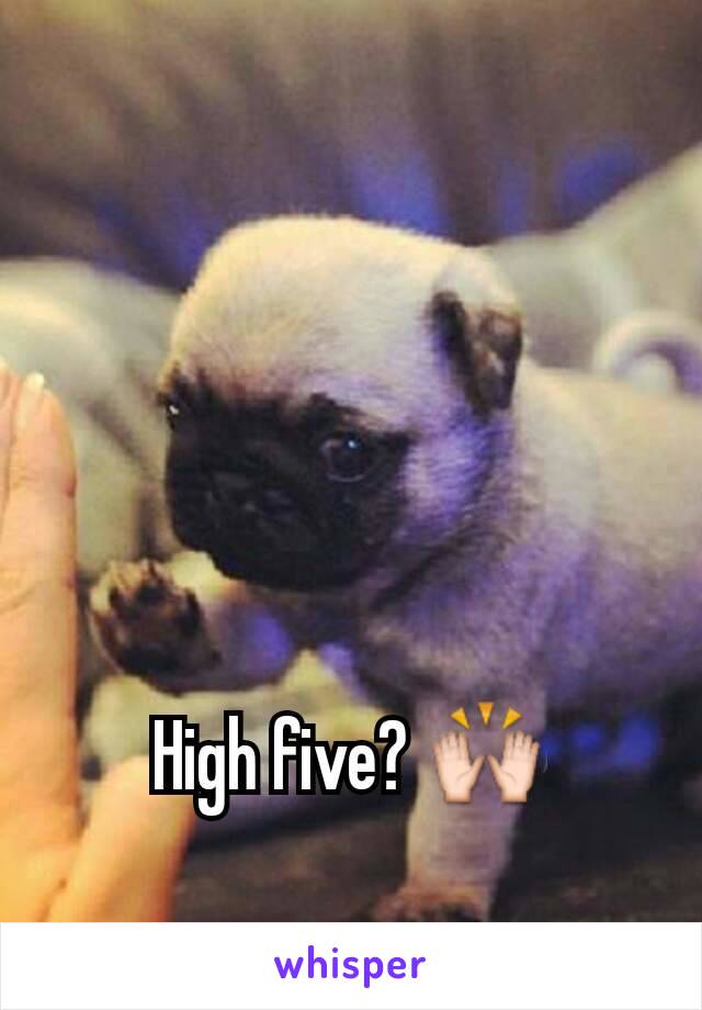 High five? 🙌