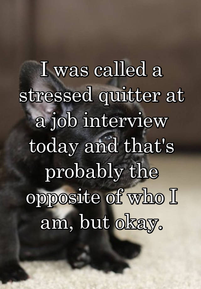 i-was-called-a-stressed-quitter-at-a-job-interview-today-and-that-s