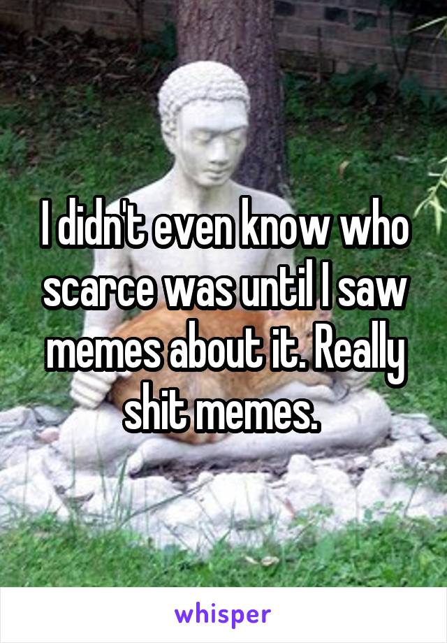 I didn't even know who scarce was until I saw memes about it. Really shit memes. 
