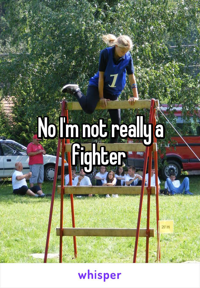 No I'm not really a fighter 
