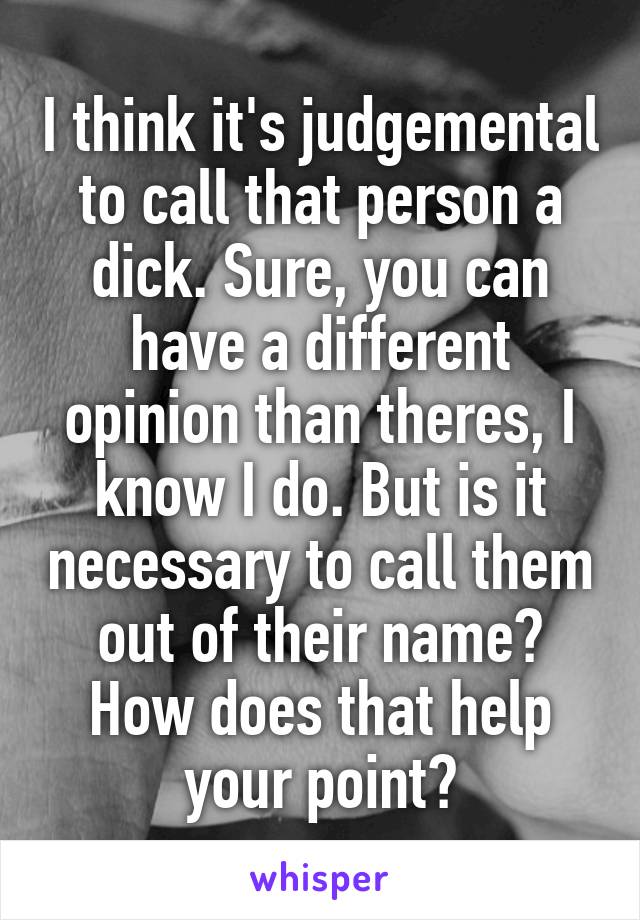 I think it's judgemental to call that person a dick. Sure, you can have a different opinion than theres, I know I do. But is it necessary to call them out of their name? How does that help your point?