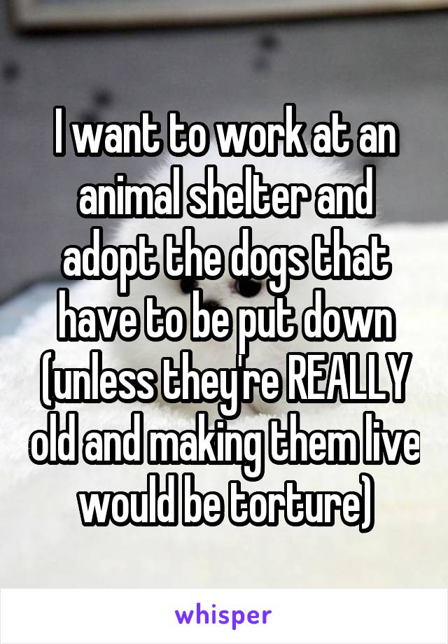 I want to work at an animal shelter and adopt the dogs that have to be put down (unless they're REALLY old and making them live would be torture)