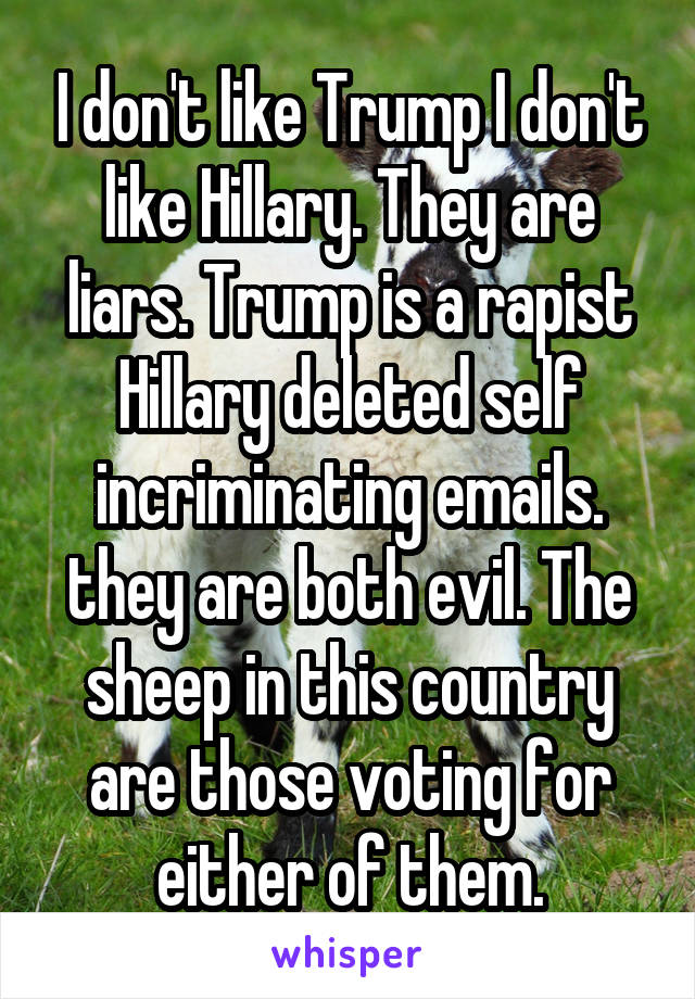 I don't like Trump I don't like Hillary. They are liars. Trump is a rapist Hillary deleted self incriminating emails. they are both evil. The sheep in this country are those voting for either of them.