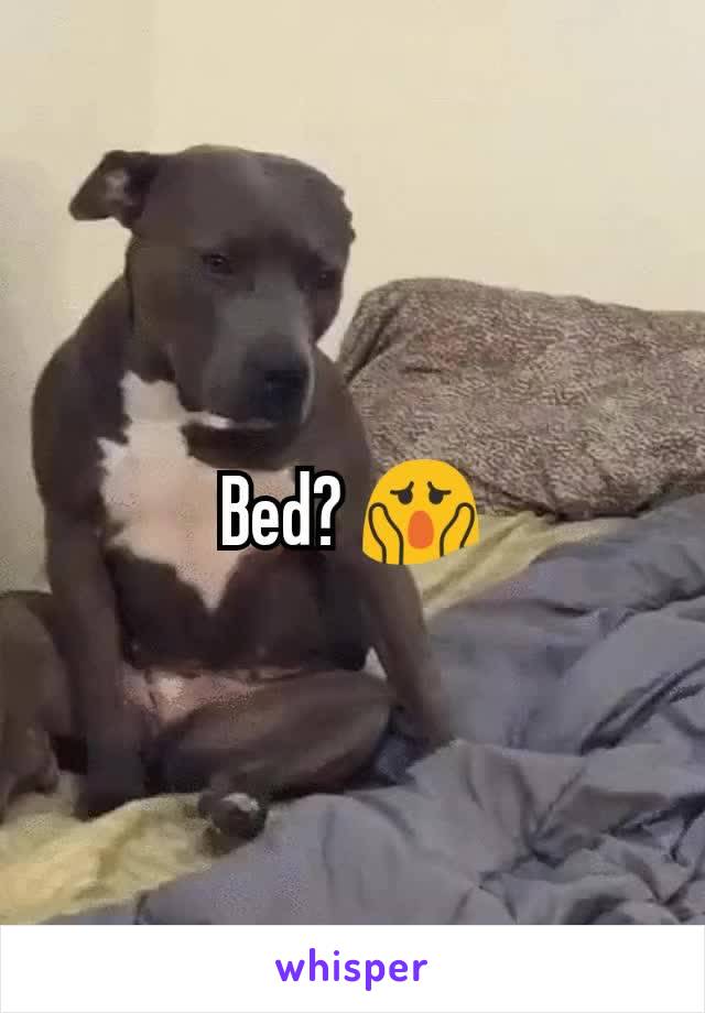 Bed? 😱